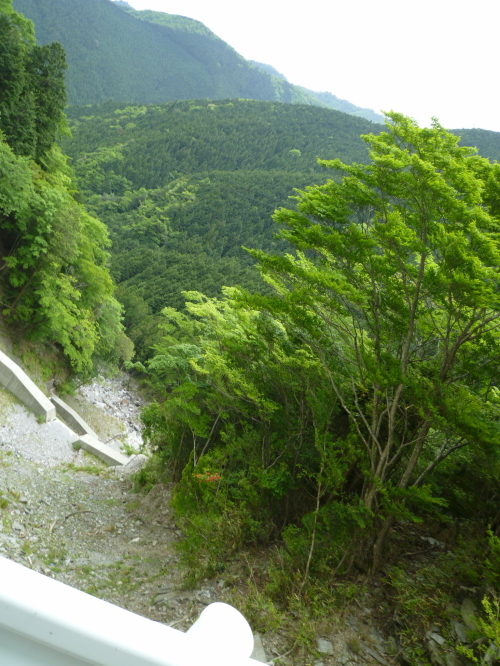 d0179983_1915533.jpg