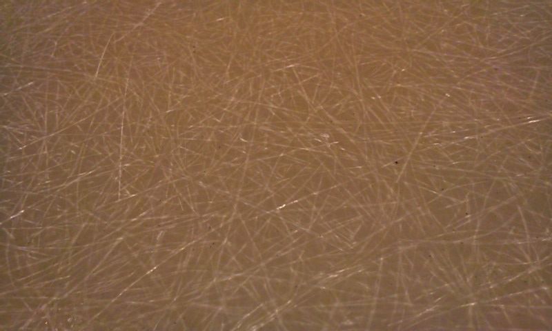 c0078587_23315345.jpg