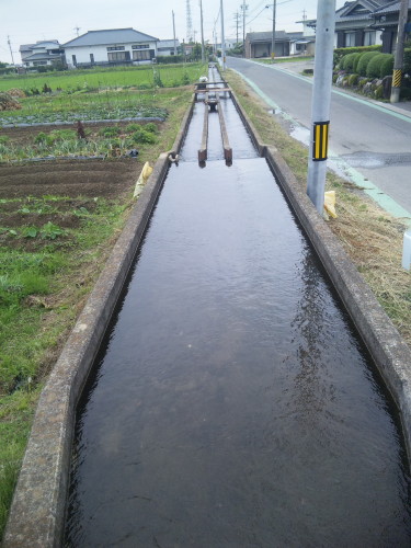 e0094589_1773685.jpg