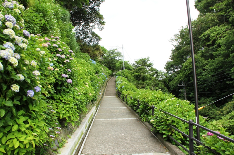 a0127090_9244837.jpg