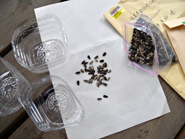 a0199297_11202524.jpg