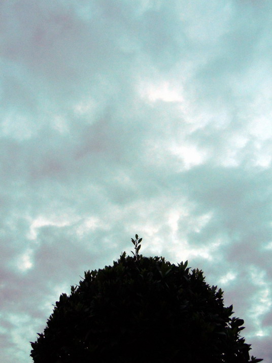 f0100505_5351159.jpg