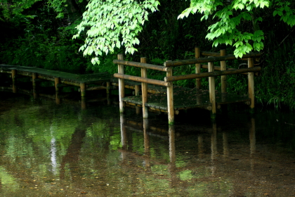 f0041606_2031777.jpg