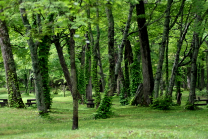 f0041606_2034248.jpg