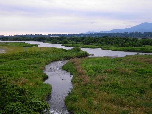 e0123808_2328224.jpg