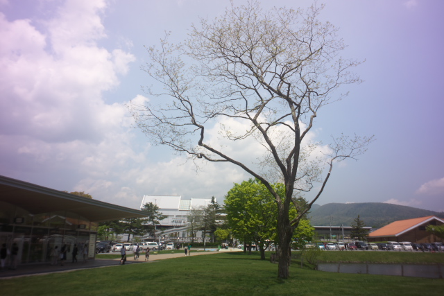d0143011_1126821.jpg