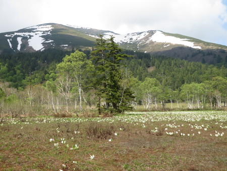 c0054212_13511053.jpg