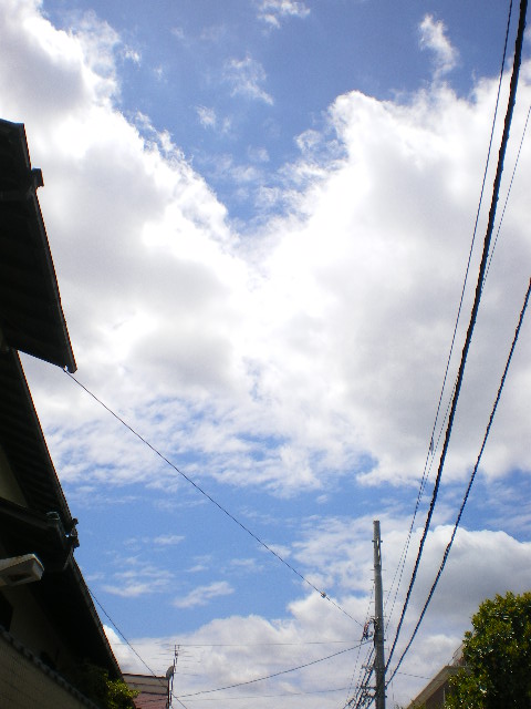 c0188613_1419644.jpg
