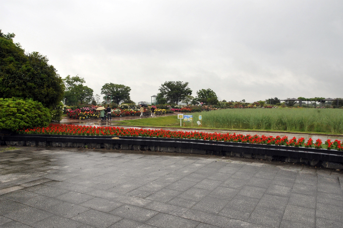 d0179113_2342627.jpg