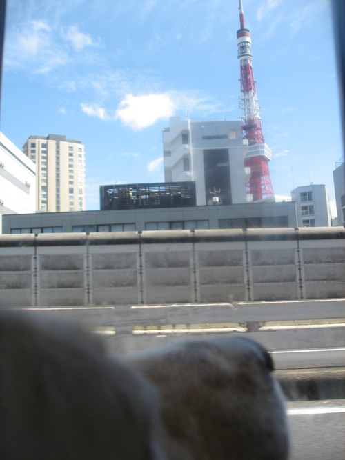 e0254813_23104931.jpg