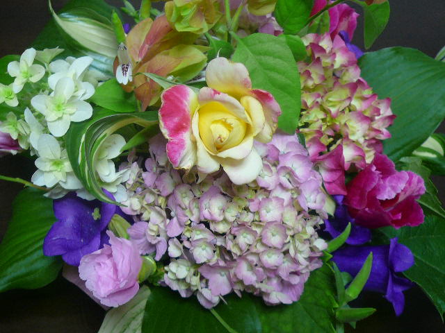 e0026017_1502383.jpg