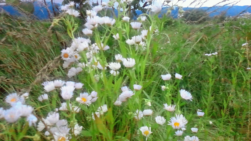 f0227120_18535522.jpg