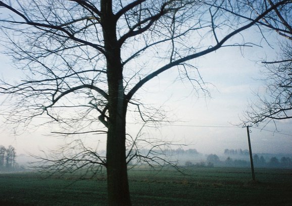b0116321_11351464.jpg
