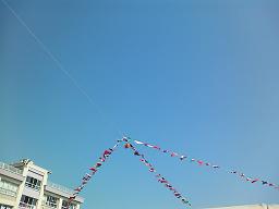 d0049221_14104123.jpg