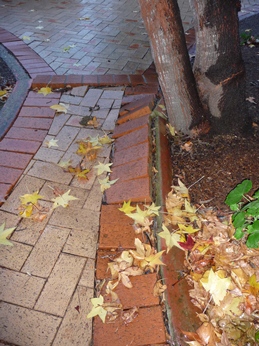 c0013324_9152839.jpg