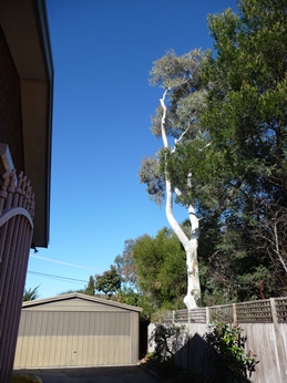 c0013324_9215386.jpg