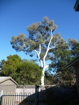 c0013324_9232688.jpg