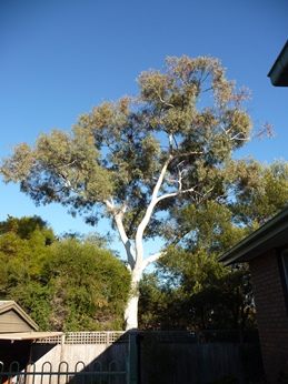 c0013324_923541.jpg