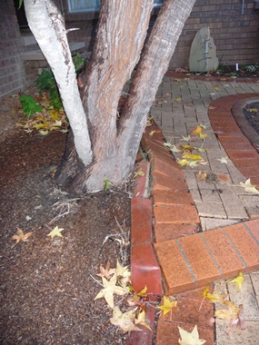 c0013324_952254.jpg
