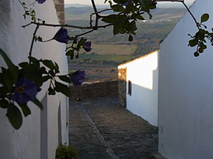 c0025724_8171927.jpg
