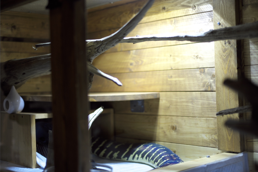e0224824_081044.jpg