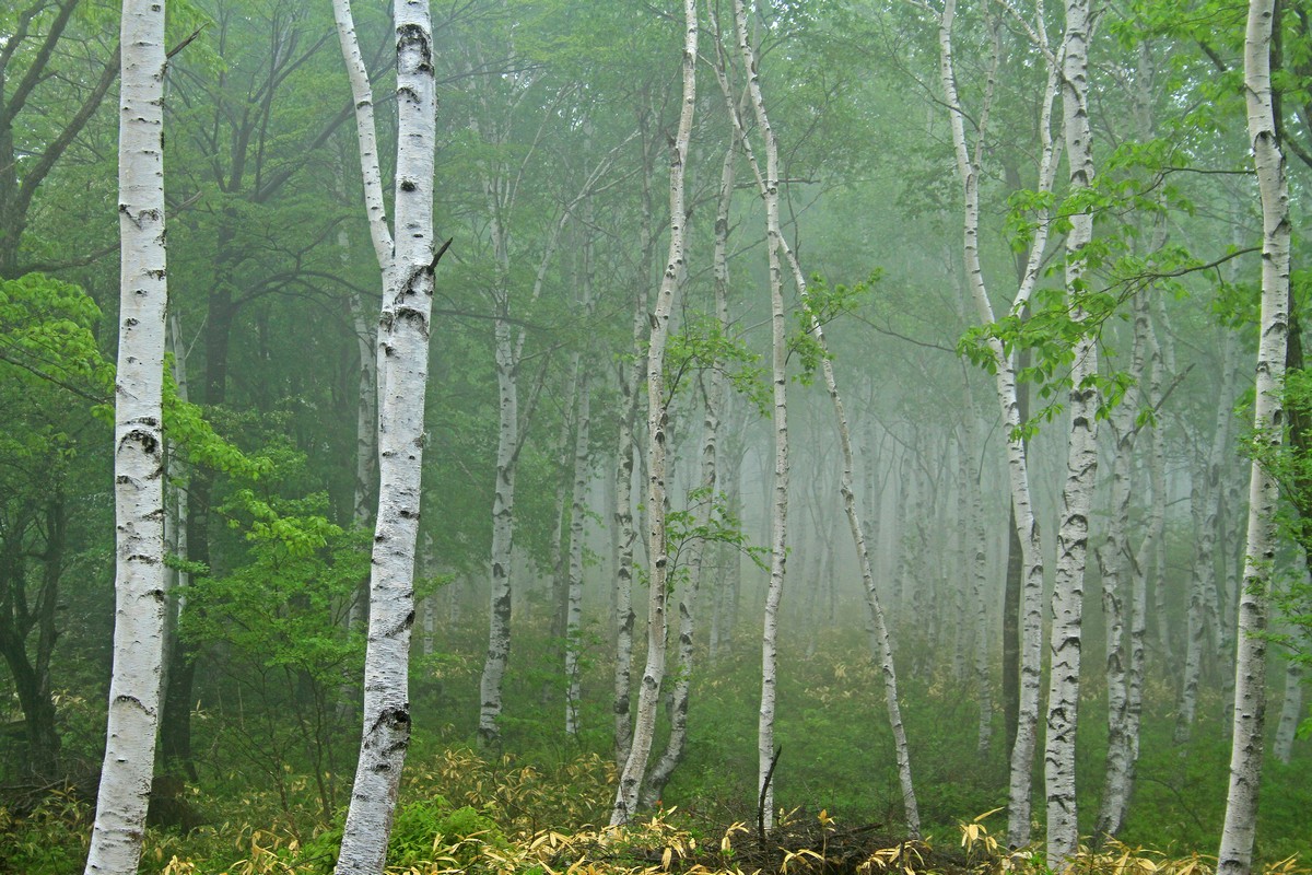 c0104227_10384493.jpg