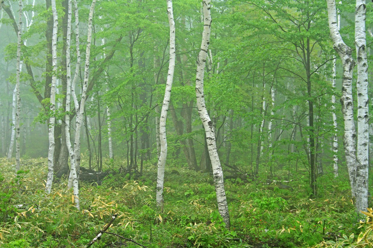 c0104227_1040333.jpg
