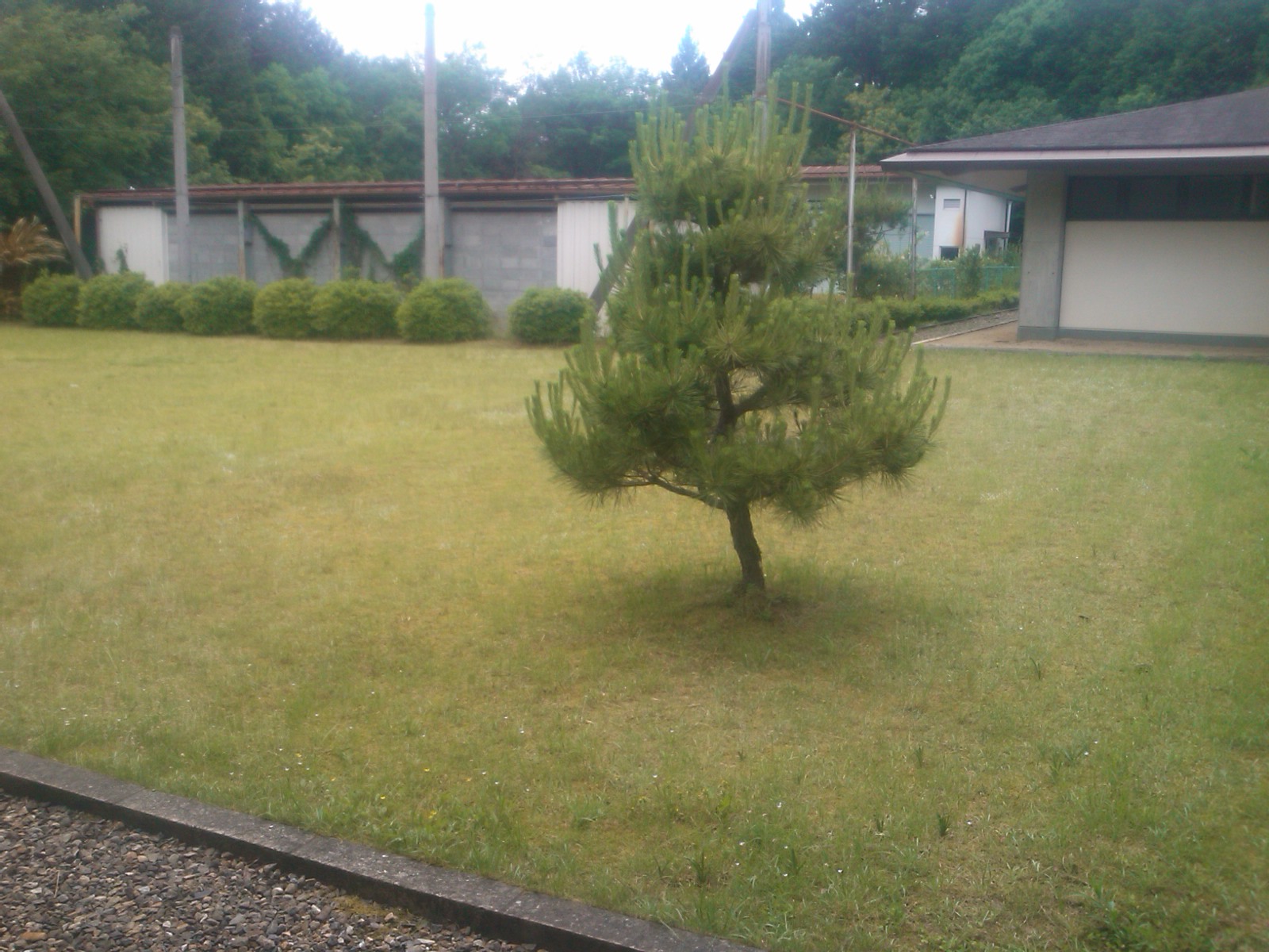 f0111128_0503683.jpg