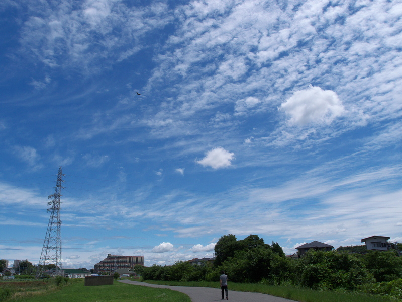 a0253730_20123850.jpg