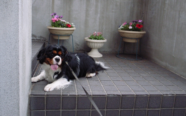 c0051132_203327100.jpg