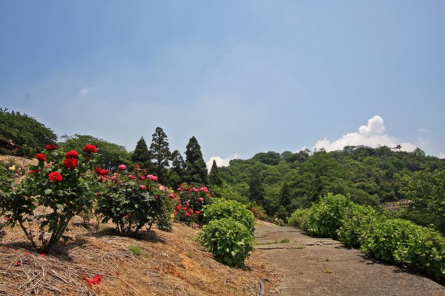 a0242438_19391217.jpg