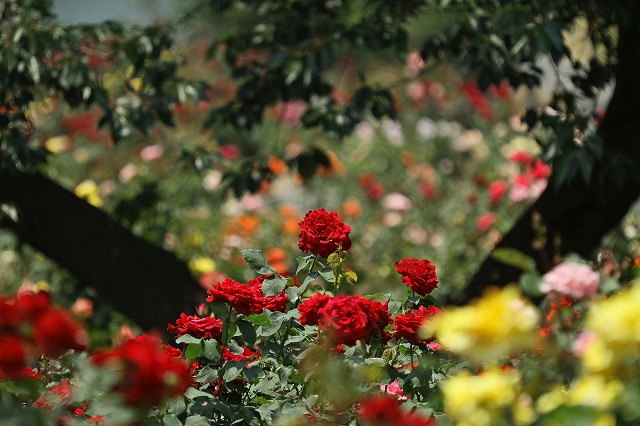 a0242438_19412953.jpg