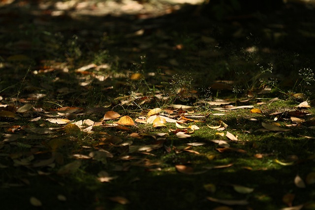 a0242438_19424013.jpg