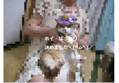 e0255638_15355885.png