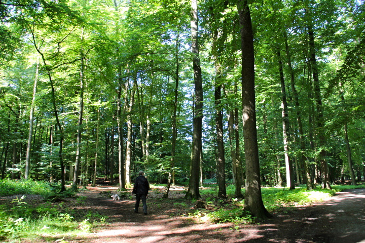 c0153740_21464923.jpg