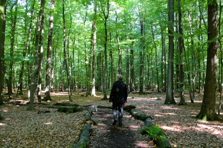 c0153740_21492547.jpg
