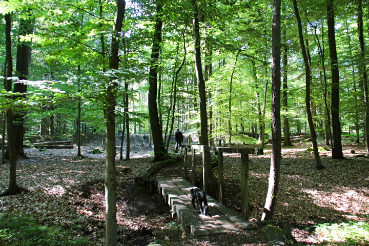 c0153740_2242344.jpg
