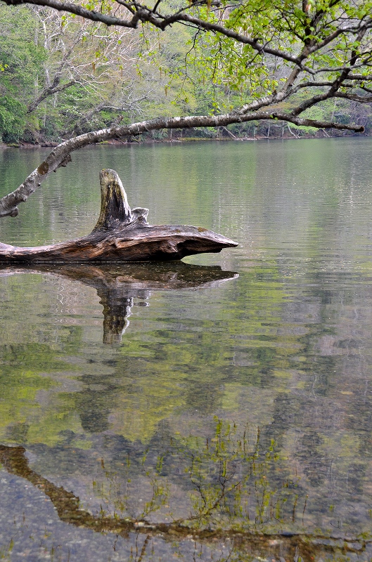 c0220040_22382019.jpg