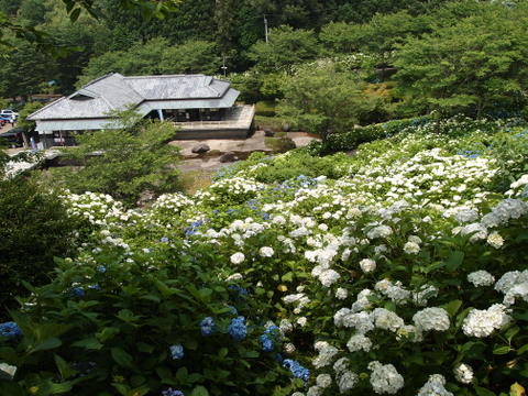 b0199742_11231213.jpg