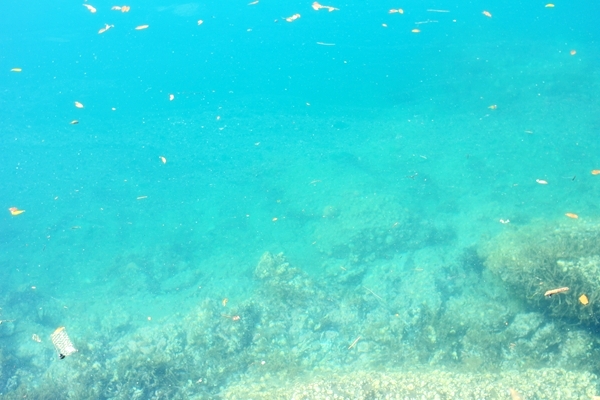 c0228945_21134017.jpg