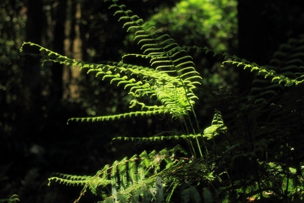 c0228945_21141151.jpg