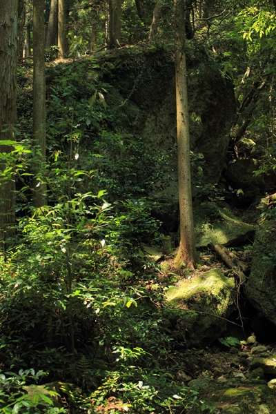 c0228945_21142536.jpg
