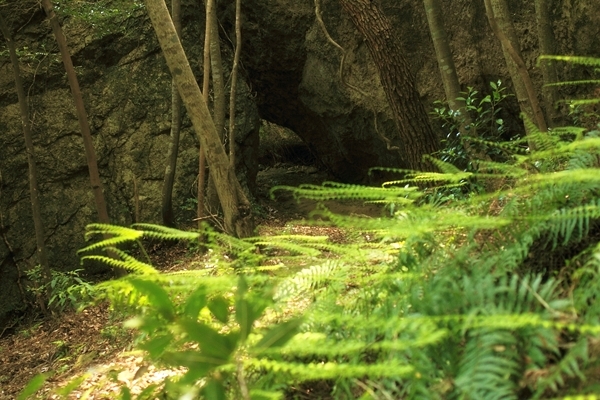 c0228945_21143847.jpg