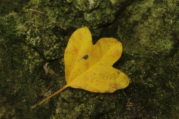 c0228945_2116224.jpg