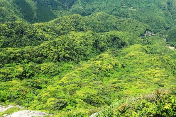 c0228945_21173712.jpg