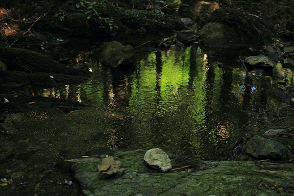 c0228945_21183552.jpg