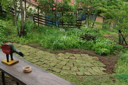 d0249047_8584449.jpg