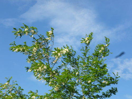 b0238249_2282438.jpg