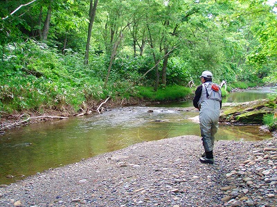 c0097652_2071334.jpg