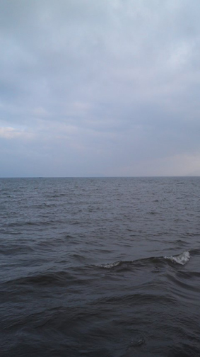 f0178153_7194556.jpg